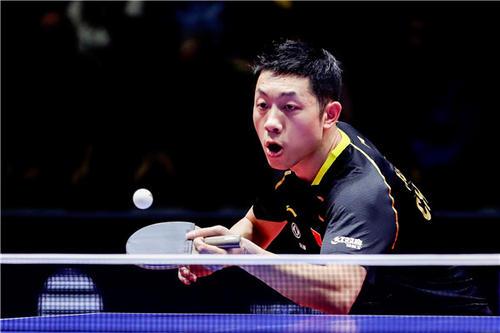 家和教练员 家和教练员