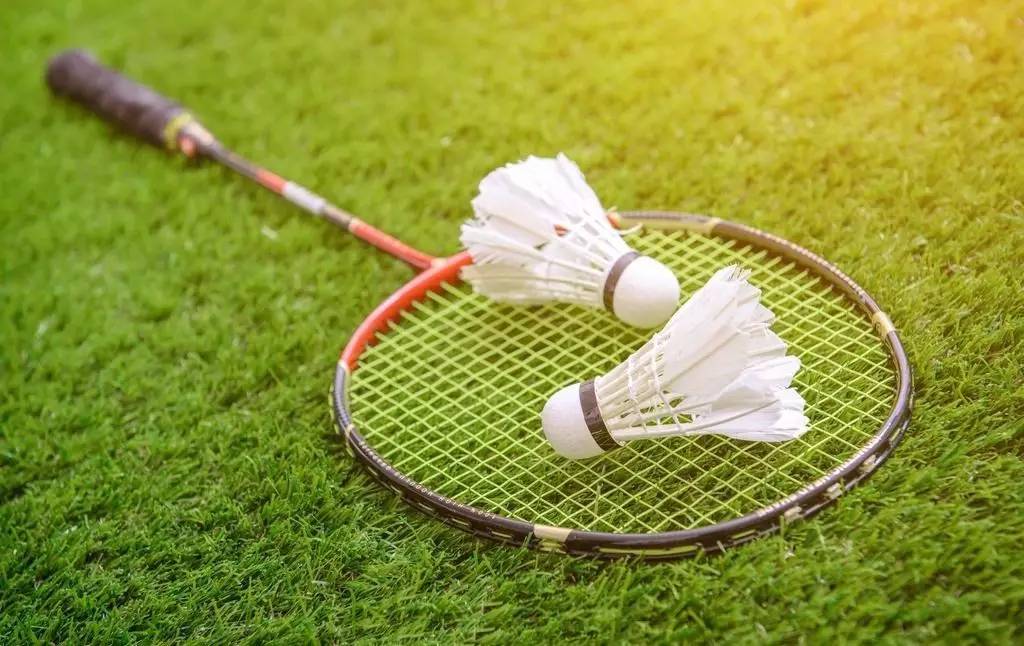 而塞尔吉尼 而塞尔吉尼